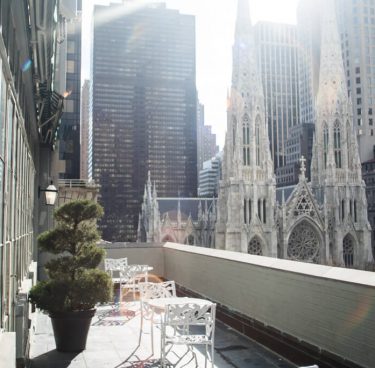 St. Patrick's Cathedral Terrace